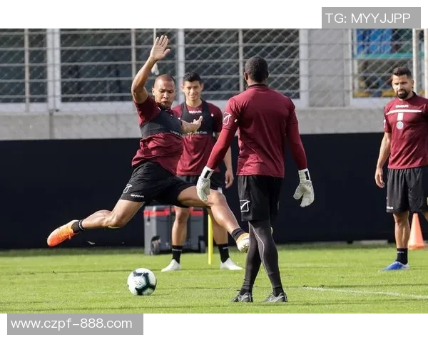 美国与厄瓜多尔足球对决精彩回顾与分析两队实力对比与战术探讨